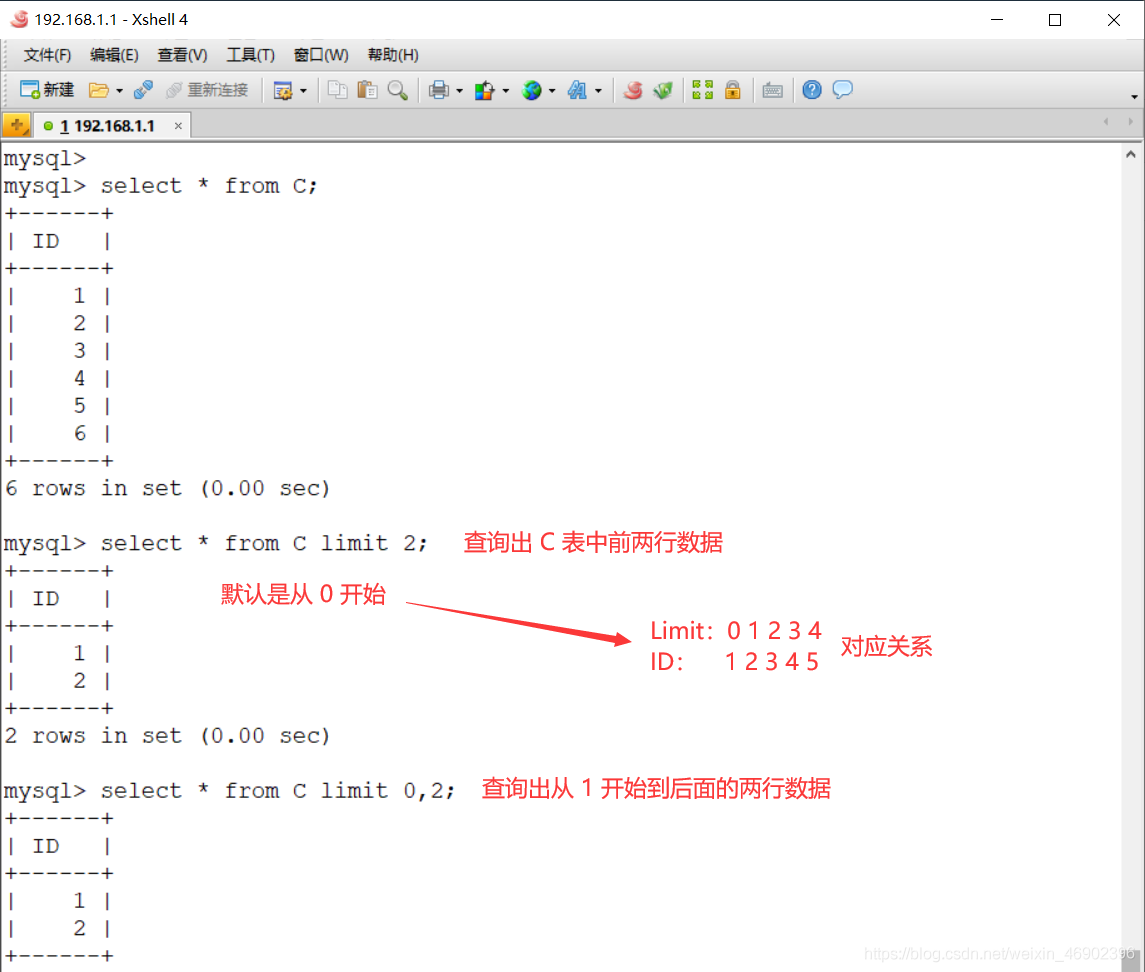 图文详解MySQL中的主键与事务