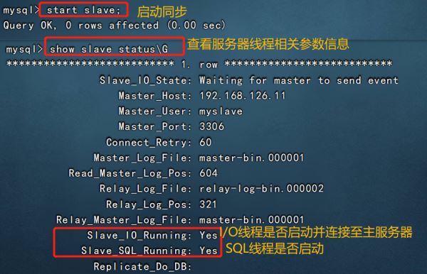 Mysql数据库的主从复制与读写分离精讲教程