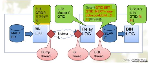 MySQL示例DTID主从原理解析