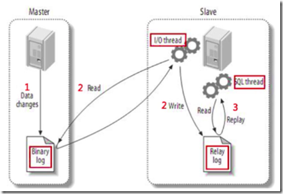 详解 Mysql 事务和Mysql 日志